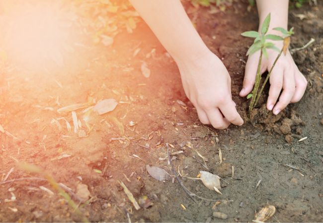 Giornata mondiale contro desertificazione e siccità